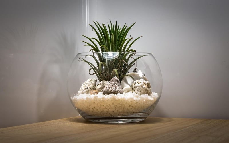 Planetary Terrariums